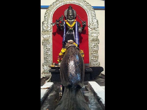 5.ಲೋಕ ನಾಯಕ ಶನೇಶ್ವರ ದೇವಾಲಯ