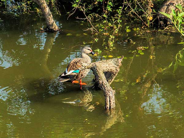 3) ಸುವಿಹಾರೀ ಪ್ರವಾಸ