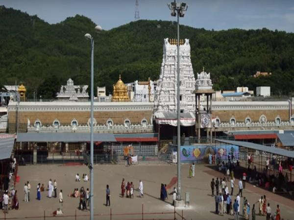 ಈ ಪುಣ್ಯಕ್ಷೇತ್ರದಲ್ಲಿ ಹಂದಿಗಳದೇ ಕಾರುಬಾರು