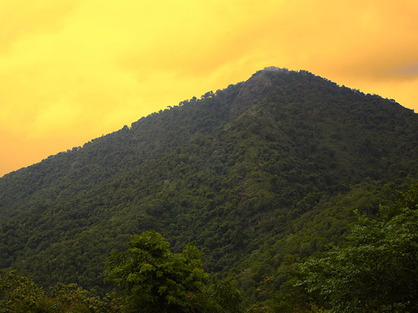 ಬಿ ಆರ್ ಬೆಟ್ಟಗಳಿಗೆ ಭೇಟಿಕೊಡಲು ಸರಿಯಾದ ಸಮಯ