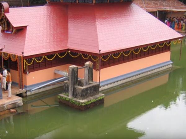 10.ಮೊಸಳೆ
