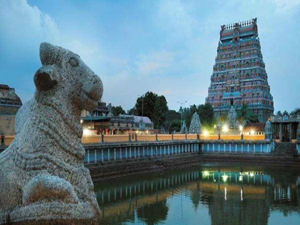 10.ಶಿವಾನಂದನಾಯಕಿ