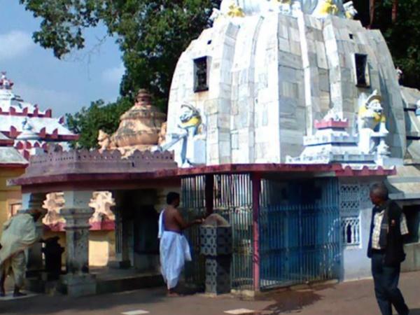 13.ಸಾತ್ಪದಾ ಡಾಲ್ಫಿನ್ ಕೇಂದ್ರ