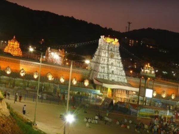 ಈ ಪುಣ್ಯಕ್ಷೇತ್ರದಲ್ಲಿ ಹಂದಿಗಳದೇ ಕಾರುಬಾರು