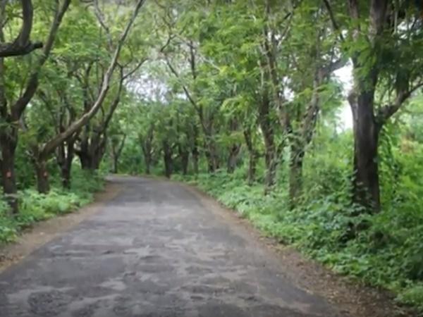 2. ಆರ್ಯ ಮಿಲ್ಕ ಕಾಲೋನಿ ರಸ್ತೆ