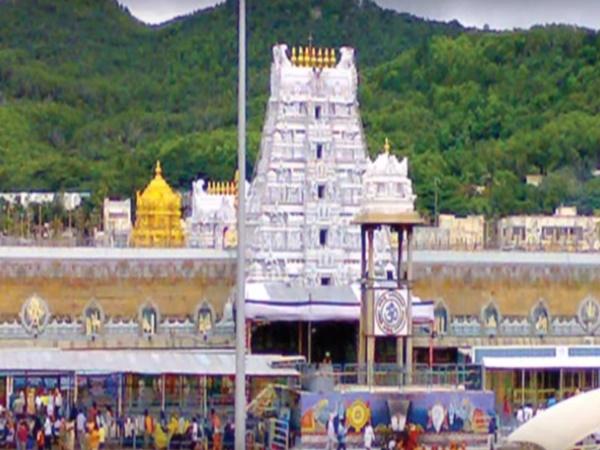 ಈ ಪುಣ್ಯಕ್ಷೇತ್ರದಲ್ಲಿ ಹಂದಿಗಳದೇ ಕಾರುಬಾರು