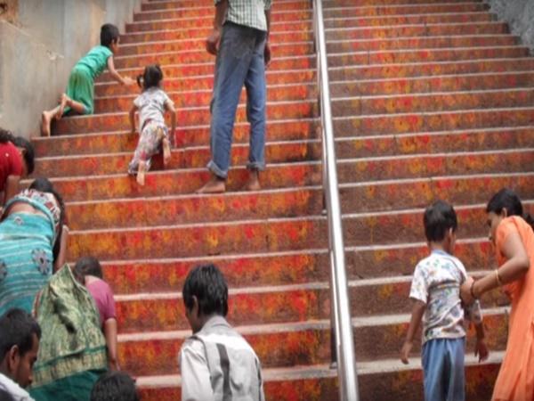 ಈ ಪುಣ್ಯಕ್ಷೇತ್ರದಲ್ಲಿ ಹಂದಿಗಳದೇ ಕಾರುಬಾರು