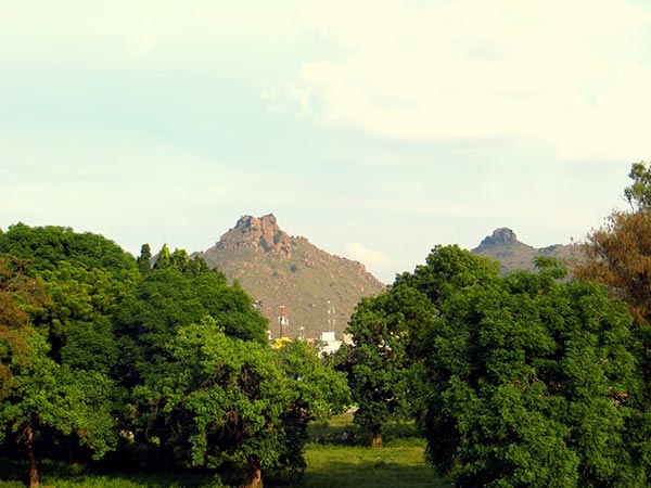2) ವೆಲ್ಲೂರು