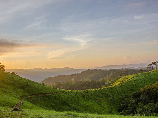 ಟ್ರಕ್ಕಿಂಗ್