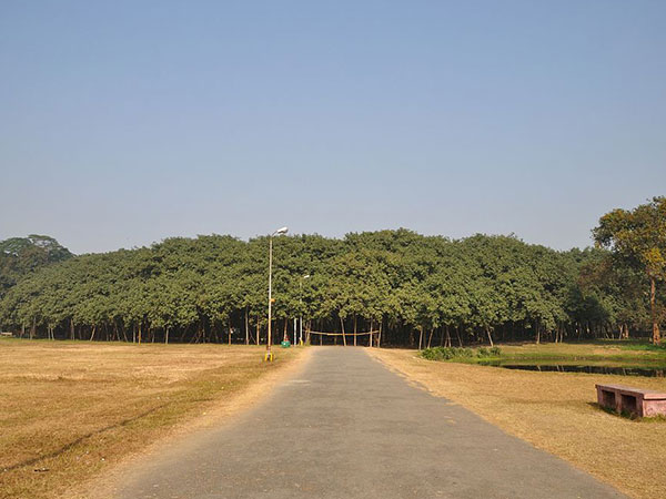 4) ದ ಗ್ರೇಟ್ ಆಲದ ಮರ,(ಬನ್ಯಾನ್ ) ಕೊಲ್ಕತ್ತಾ