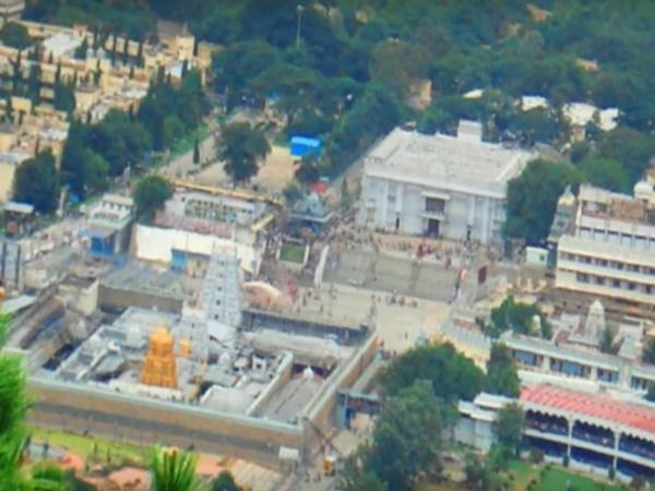 ಈ ಪುಣ್ಯಕ್ಷೇತ್ರದಲ್ಲಿ ಹಂದಿಗಳದೇ ಕಾರುಬಾರು