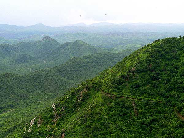 5) ಅರಾವಳಿ ಶ್ರೇಣಿ