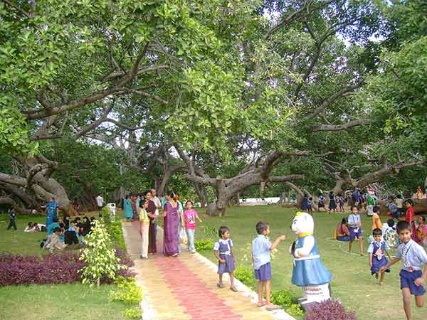 5) ಪಿಳ್ಳಲಮರಿ, ತೆಲಂಗಾಣ