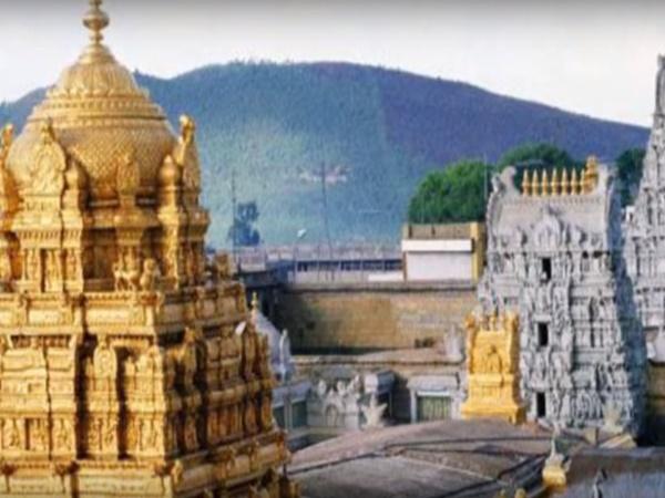 ಈ ಪುಣ್ಯಕ್ಷೇತ್ರದಲ್ಲಿ ಹಂದಿಗಳದೇ ಕಾರುಬಾರು