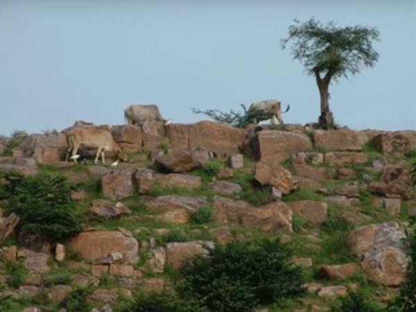 9. ಇಲ್ಲಿನ ಸಮೀಪದಲ್ಲಿನ ಪ್ರವಾಸಿಗರು