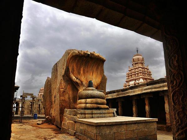 ಐದು ಹೆಡೆಯ ನಾಗಲಿಂಗಂ