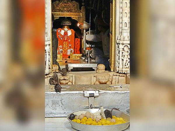 ಕರಣಿ ಮಾತಾ ಮಂದಿರ ಬಿಕಾನೆರ್
