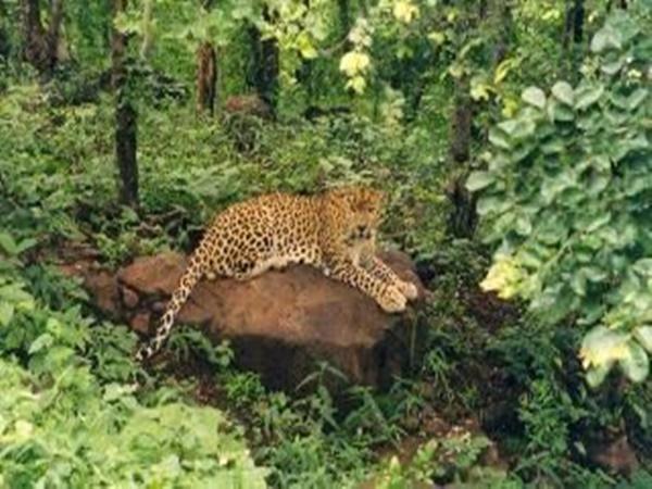 21.ವನ ವಿಹಾರ, ಭೊಪಾಲ್