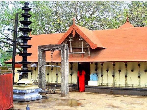 ಐದು ತಲೆಯ ಹಾವಿನ ವಿಗ್ರಹ