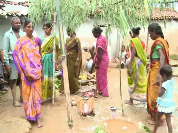 ನಾಯಿ ಮದವೆಯಲ್ಲೂ ಇರುತ್ತೆ ಡ್ಯಾನ್ಸ್