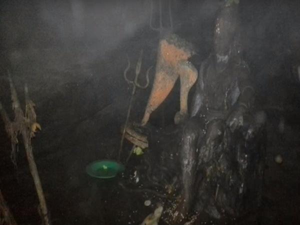 7.ದಟ್ಟವಾದ ಅರಣ್ಯ
