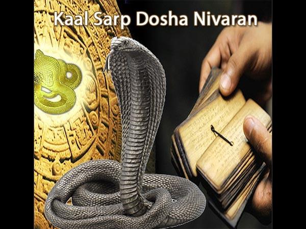 7.ಗರುಡ ಸ್ತಂಭವನ್ನು ಪ್ರತಿಷ್ಟಾಪಿಸಿದ್ದಾರೆ