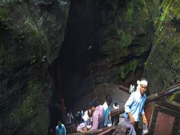 8.ಅನೇಕ ಬಗೆಯ ಔಷಧಿ ಎಲೆಗಳು
