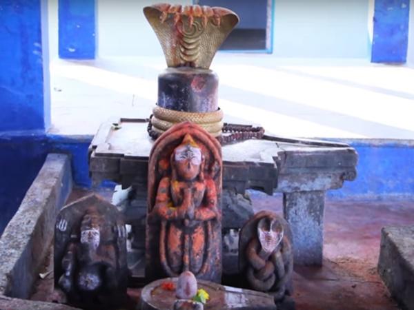 8.ಮರಳಿನಲ್ಲಿ ಮಾಡಿದ ಶಿವಲಿಂಗಗಳು...