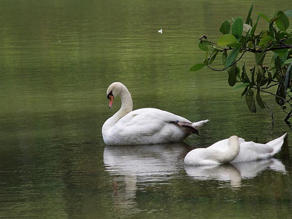 9 ಗೇವಿಯರ್ ಸರೋವರ