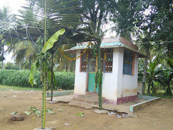 ಕುರಿ ಬಲಿ ಕೊಡ್ತಾರೆ