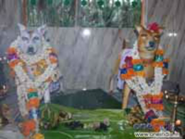 ಊರಿನವರಿಗೆ ಗೊತ್ತಿಲ್ಲ ನಾಯಿ ದೇವಸ್ಥಾನ