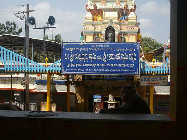ಘಾಟಿ ಸುಬ್ರಹ್ಮಣ್ಯ ಸ್ವಾಮಿ ದೇವಾಲಯ