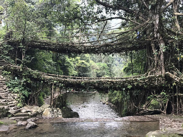 ಡಬಲ್ ಡೆಕ್ಕರ್ ಬೇರಿನ ಬ್ರಿಡ್ಜ್