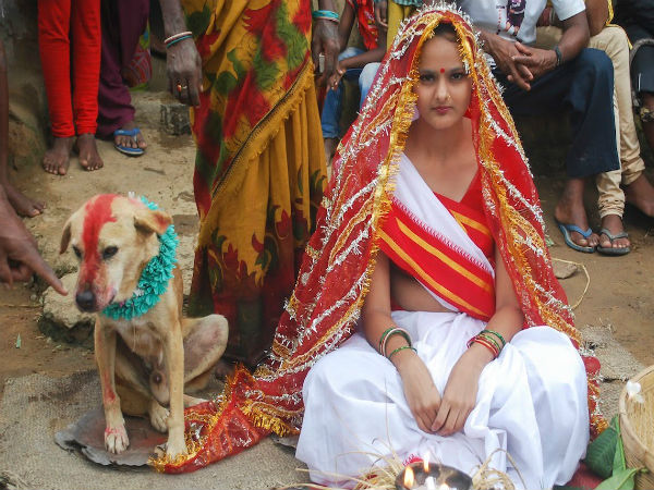 ದುರಾದೃಷ್ಟವನ್ನು ಹೋಗಲಾಡಿಸಲು ನಾಯಿ ಜೊತೆ ಮದುವೆ