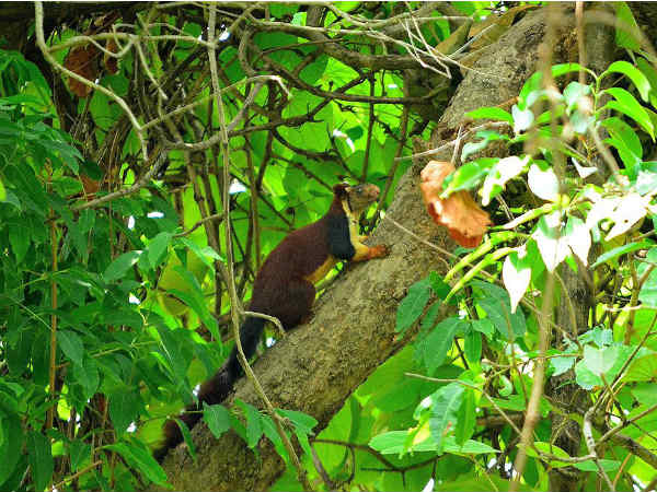1. ಜೆಮ್್ಶೆಡ್ ಪುರಕ್ಕೆ ಭೇಟಿ ಕೊಡಲು ಸೂಕ್ತ ಸಮಯ