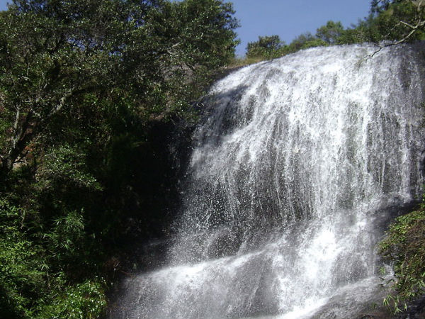 6 ಬೇರ್ ಶೋಲಾ ಫಾಲ್ಸ್