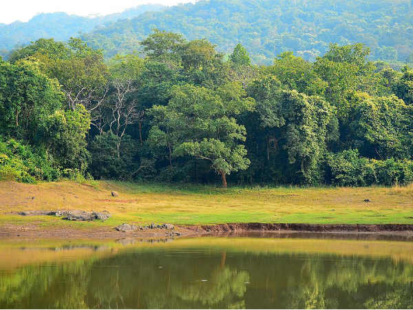 7. ದಾಲ್ಮಾ ವನ್ಯಜೀವಿ ಧಾಮ