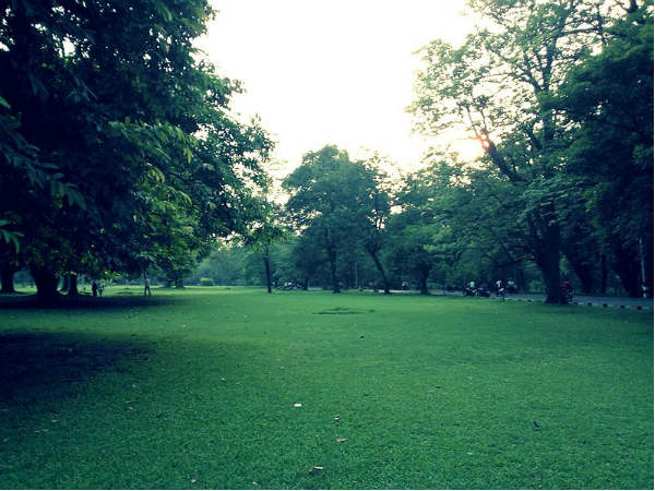 8. ಟಾಟಾ ಸ್ಟೀಲ್ ಝೂವಲಾಜಿಕಲ್(ಪ್ರಾಣಿಶಾಸ್ತ್ರ) ಪಾರ್ಕ್