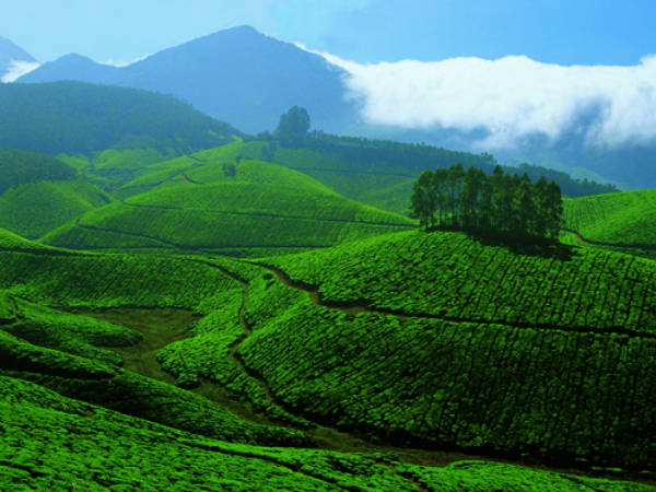 ದೇವಿಕುಲಮ್