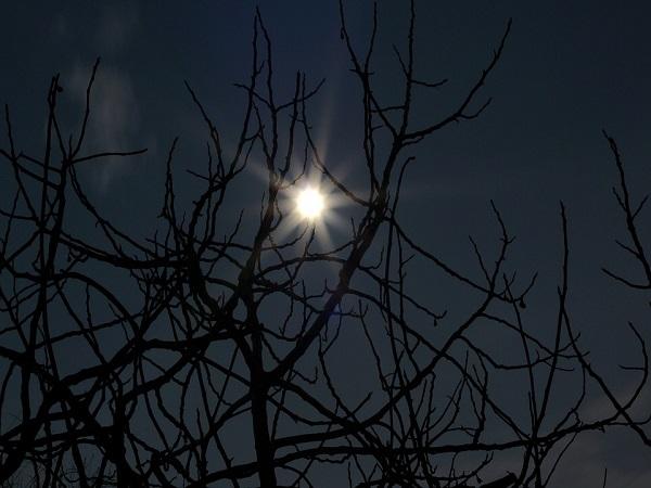 ಡಾವ್ ಹಿಲ್ಸ್ನ ಭೂತದ ಶಾಲೆ