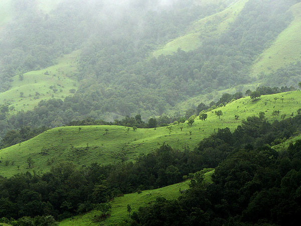 ಕುದುರೆಮುಖ