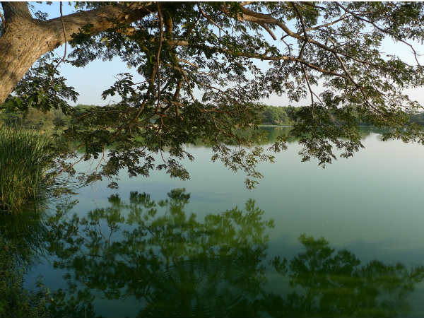 ಹೆಬ್ಬಾಳ ಸರೋವರ