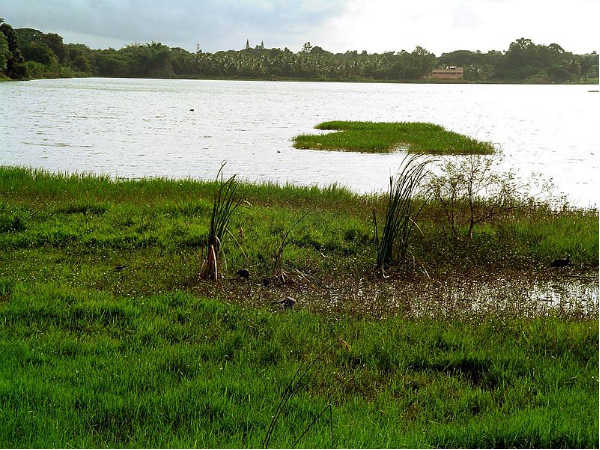 ಕುಕ್ಕರಹಳ್ಳಿ ಸರೋವರ