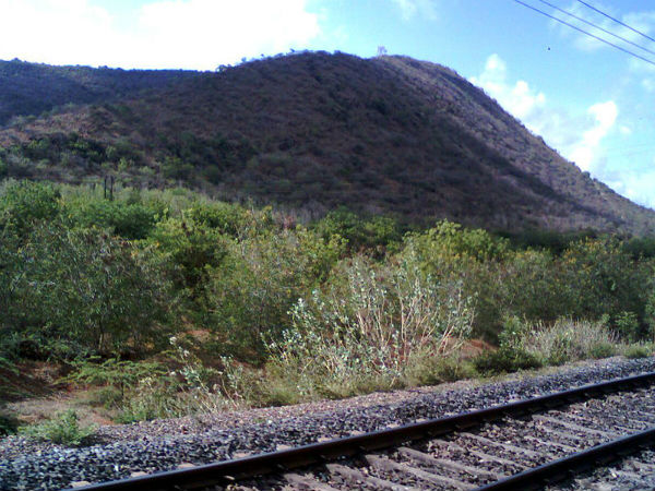 ಸ್ಥಾಪಿಸಿದ್ದು ಯಾರು?