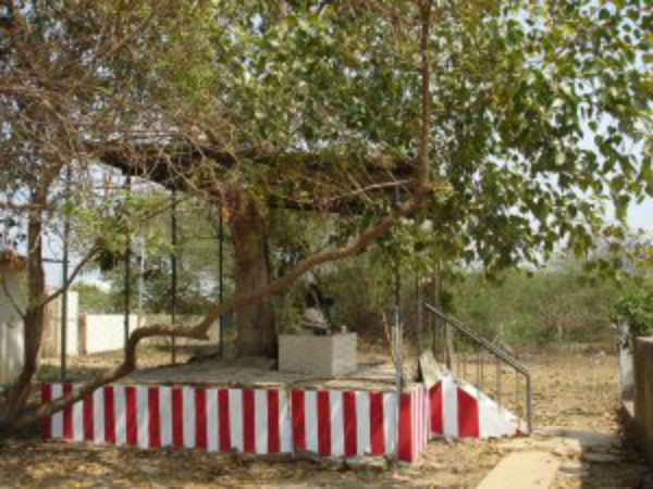 ತಲುಪುವುದು ಹೇಗೆ?