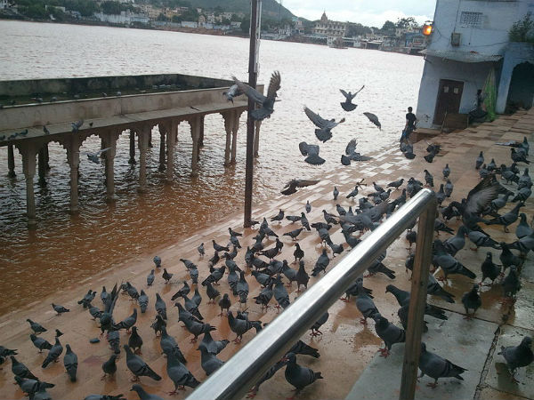ಪುಷ್ಕರ ಸರೋವರ