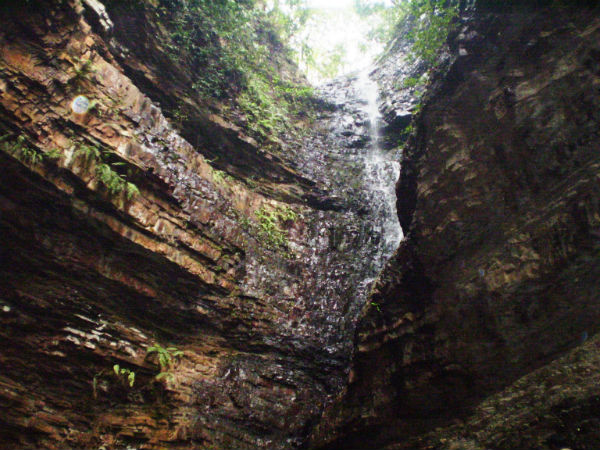 ನಲ್ಲಮಲ ಬೆಟ್ಟಗಳು