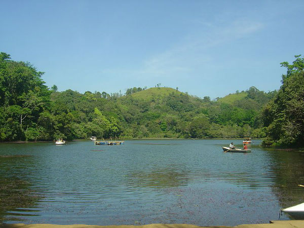 ಮುನ್ನಾರ್/ ವಯನಾಡ್