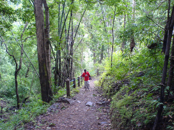 1. ದಾಂಡೇಲಿ