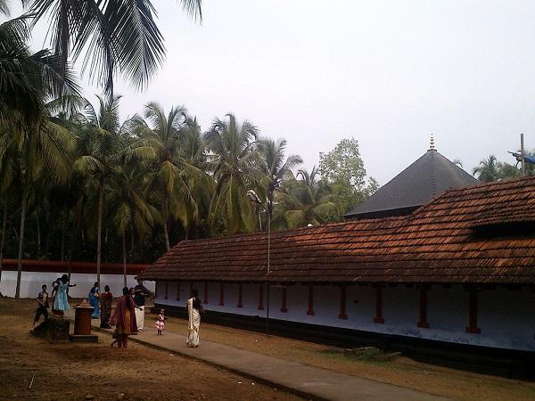 ದೇವರಿಗೆ ಜೀವಂತ ಹಾವನ್ನು ಅರ್ಪಿಸಲಾಗುತ್ತದೆ